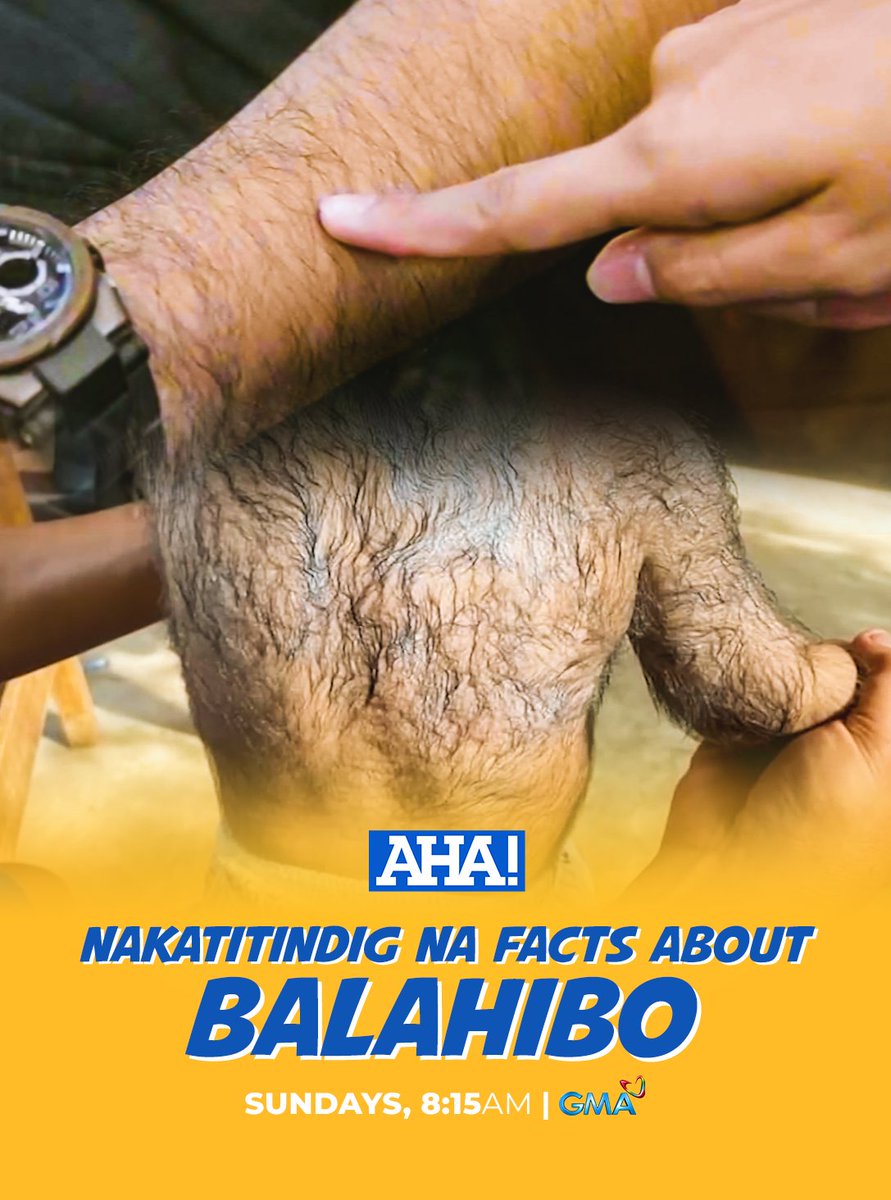 aha_gma7's tweet photo. Naranasan n’yo na bang magka-‘goosebumps’ o ‘yung tumayo ang balahibo? Ano-ano nga ba ang mga dahilan kung bakit tumataas ang balahibo natin sa balat?

AHA-lamin 'yan ngayong Linggo sa #AHA, 8:15 AM sa GMA! https://t.co/iKSsUztO0X