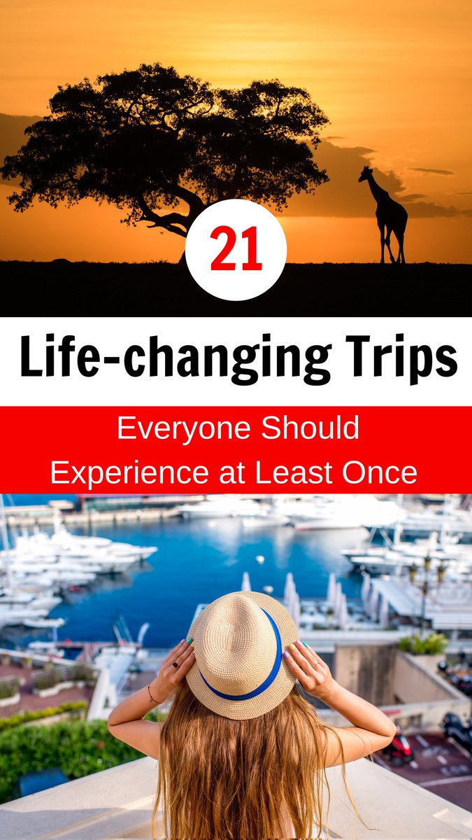 roverzyy's tweet photo. 📍21 Life-changing Trips Everyone Should Experience at Least Once

https://t.co/u7QT7NiwyC https://t.co/Gnpy3t1Xof