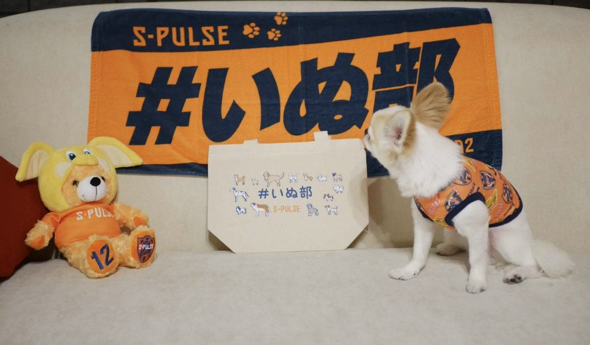 orange_galaxy12's tweet photo. 選手のみなさん
サポのみなさんお疲れ様でした👏
ホーム戦は本当に強いですね🔥
今日の勝利は高橋選手の
クリアが流れを呼んだこと間違いなし✨
途中交代は心配ですが😰
仲間を信じてゆっくり休んでください
この勢いで鹿児島戦も
頑張れエスパルス📢
#spulse
#勝ちパル
#spulsegood
#高橋祐治 https://t.co/7WhDHssBp2