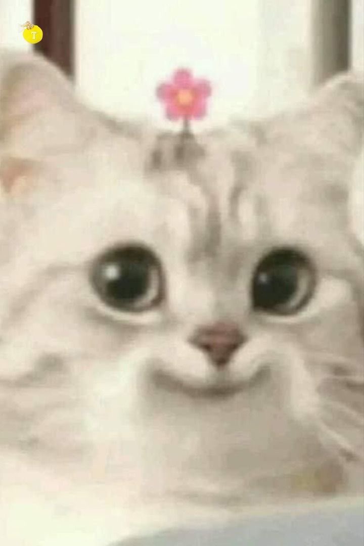 Debruh (@iamdebruh) on Twitter photo 