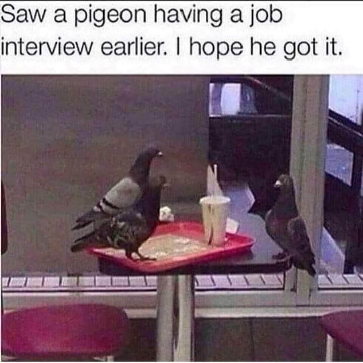 elisapacelli1's tweet photo. Happy Saturday! 😂 https://t.co/7bvmiXS19v
