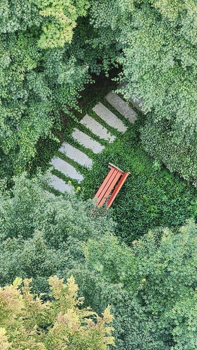 하늘에서 본 지구??
무엇으로 보이나요.
(24.8.17 갤럭시노트 한 컷)