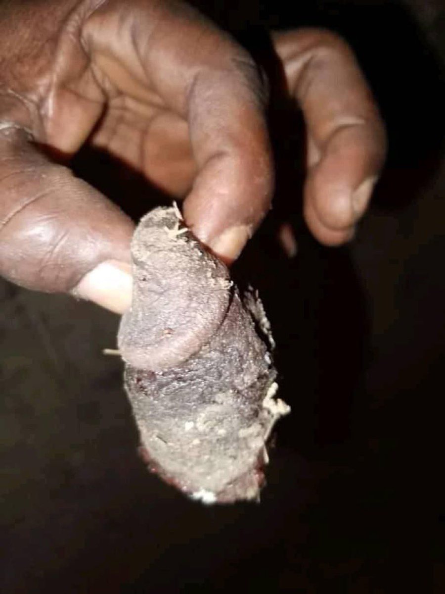 STARBOY GUCCI🖤🦉🖤 tweet media