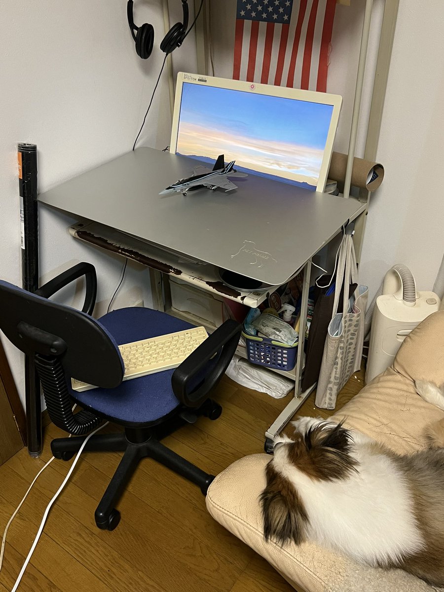 niko_inushkin's tweet photo. お犬様用のひんやりプレートがあるじゃろ？

それをPC画面の前に置いて部屋を薄暗くしてこうじゃ。 https://t.co/tDZdNQjGYl