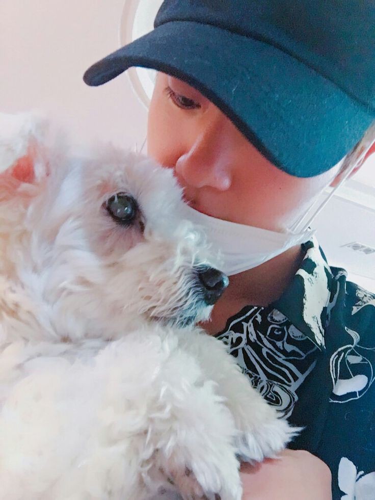 KSJCLIPS_'s tweet photo. seokjin with dogs ; a very adorable thread ★🐶 https://t.co/zRqyJySnkk