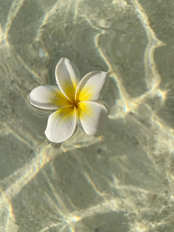 ْ𓍯 (@onlyyouforeveer) on Twitter photo 