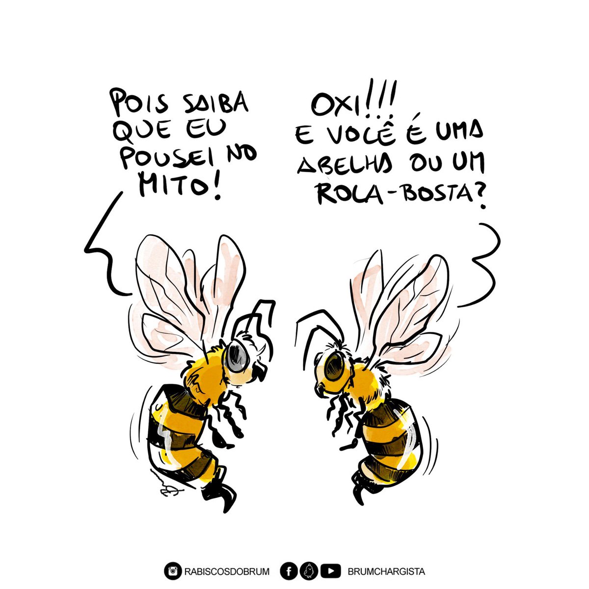 Fernanda Nogueira tweet media