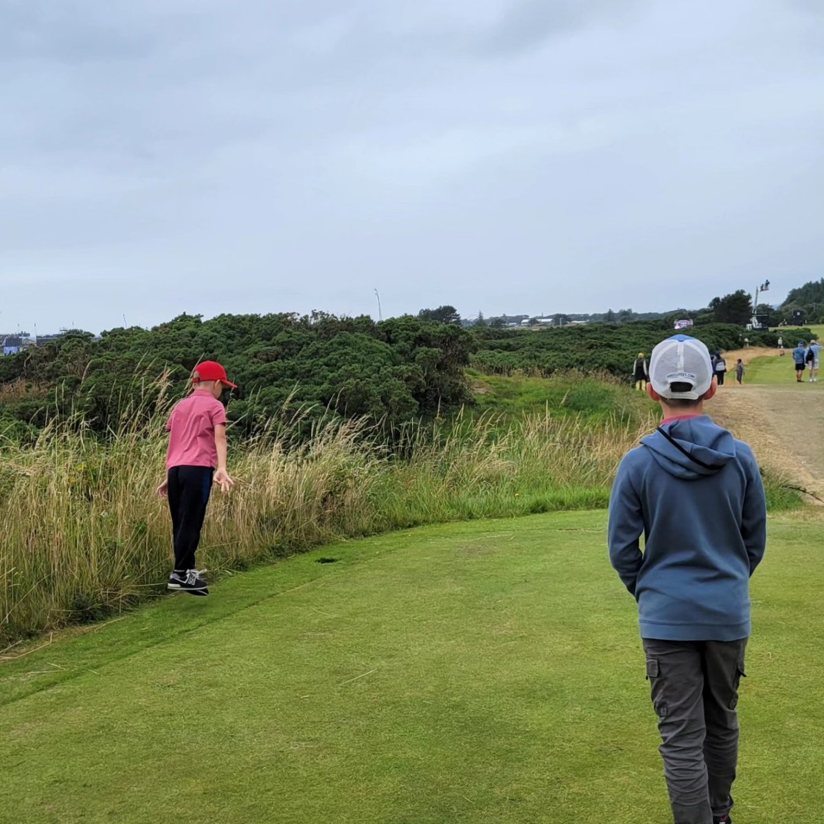 One Bearded Golfer tweet media