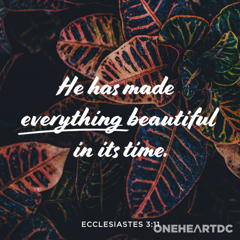OneHeartDC's tweet photo. https://t.co/0RnMni94qY