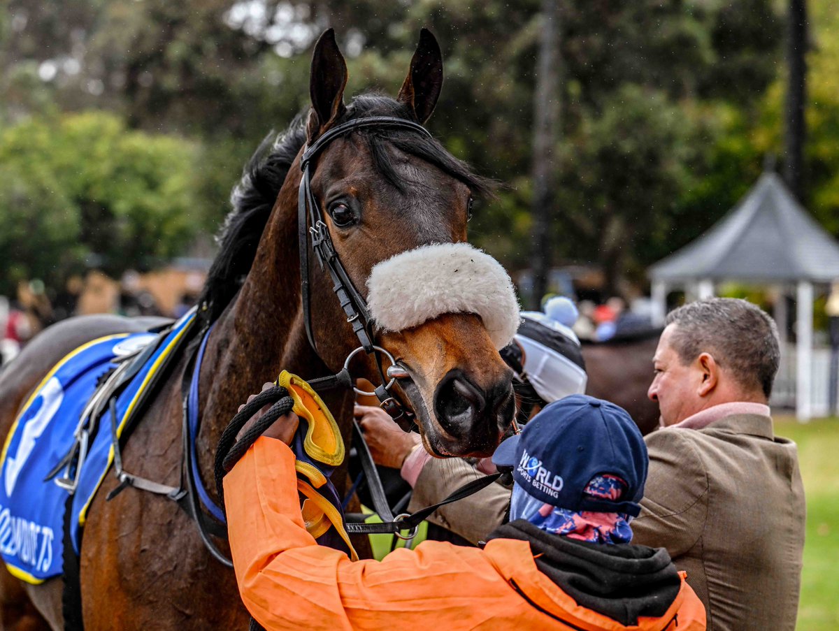 caperacing (@caperacing1) on Twitter photo Back-to-back wins for HOLDING THUMBS and Dennis Schwarz, giving Gary Player a quick double on the day.
Congratulations to the winning connections.
#CapeRacing #DestinationCapeRacing #BiggerBetterCapeRacing
<a href="/woodhillR/">Woodhill Racing</a> <a href="/Mauritzfontein/">Mauritzfontein</a> <a href="/Wilgerbosdrift/">Wilgerbosdrift</a> Back-to-back wins for HOLDING THUMBS and Dennis Schwarz, giving Gary Player a quick double on the day.
Congratulations to the winning connections.
#CapeRacing #DestinationCapeRacing #BiggerBetterCapeRacing
<a href="/woodhillR/">Woodhill Racing</a> <a href="/Mauritzfontein/">Mauritzfontein</a> <a href="/Wilgerbosdrift/">Wilgerbosdrift</a>