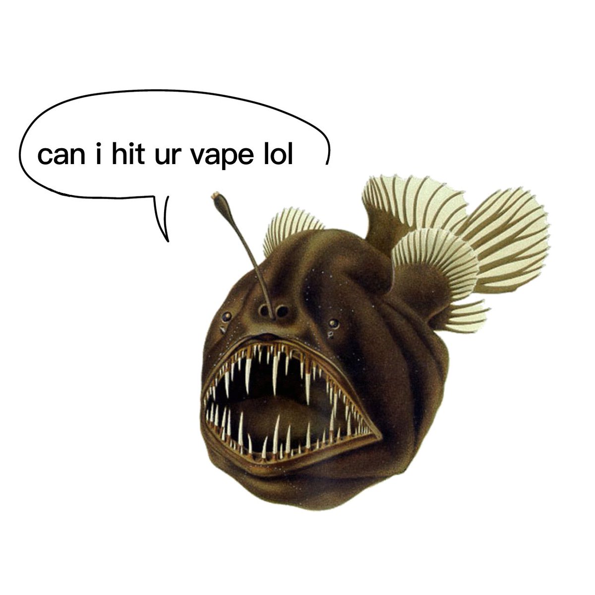 f0x_wulf's tweet image. gen z Magnus archives be like