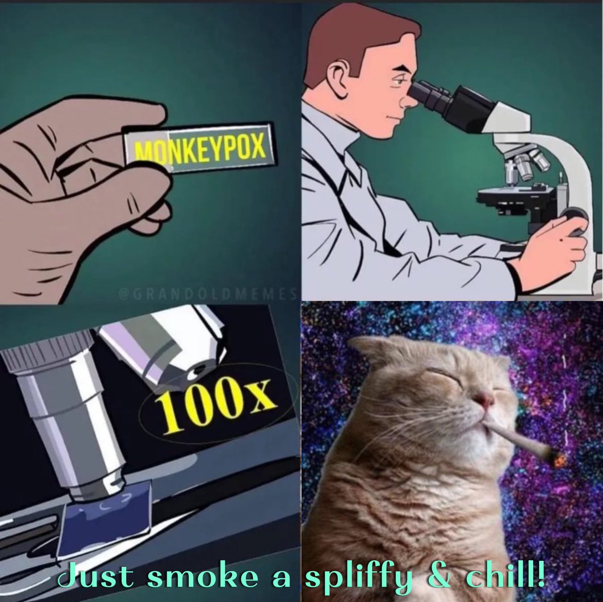 Malcolm_Great1's tweet photo. @Chadenerate @SpliffyCto Don't panic the doctor has confirmed it, 
just smoke a spliffy &amp; chill!, start from the bottom and get higher 
My meme sir  @SpliffyCto 
#SPLIFFY https://t.co/SwSDBuw3P3