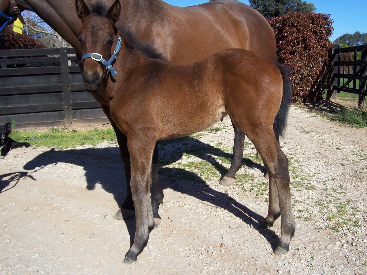 Rest easy girl. Nothing here would be remotely the same if you never came along