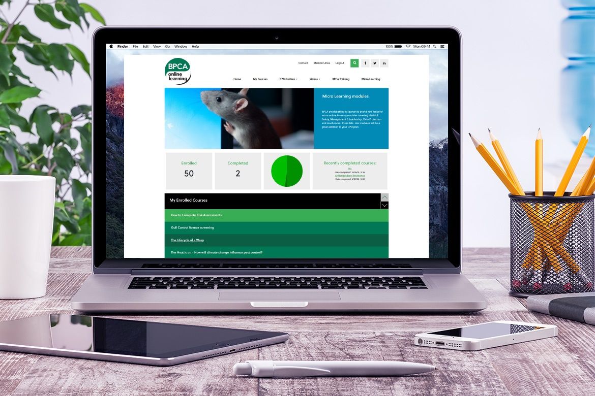 britpestcontrol's tweet image. DYK: 🎓 You can study for your BPCA/RSPH Level 2 Award in Pest Management online?

60 hours of learning covering the whole syllabus. 

Learn more or BOOK: buff.ly/4fz3dS6 

#StartingOut #PestControl #Training