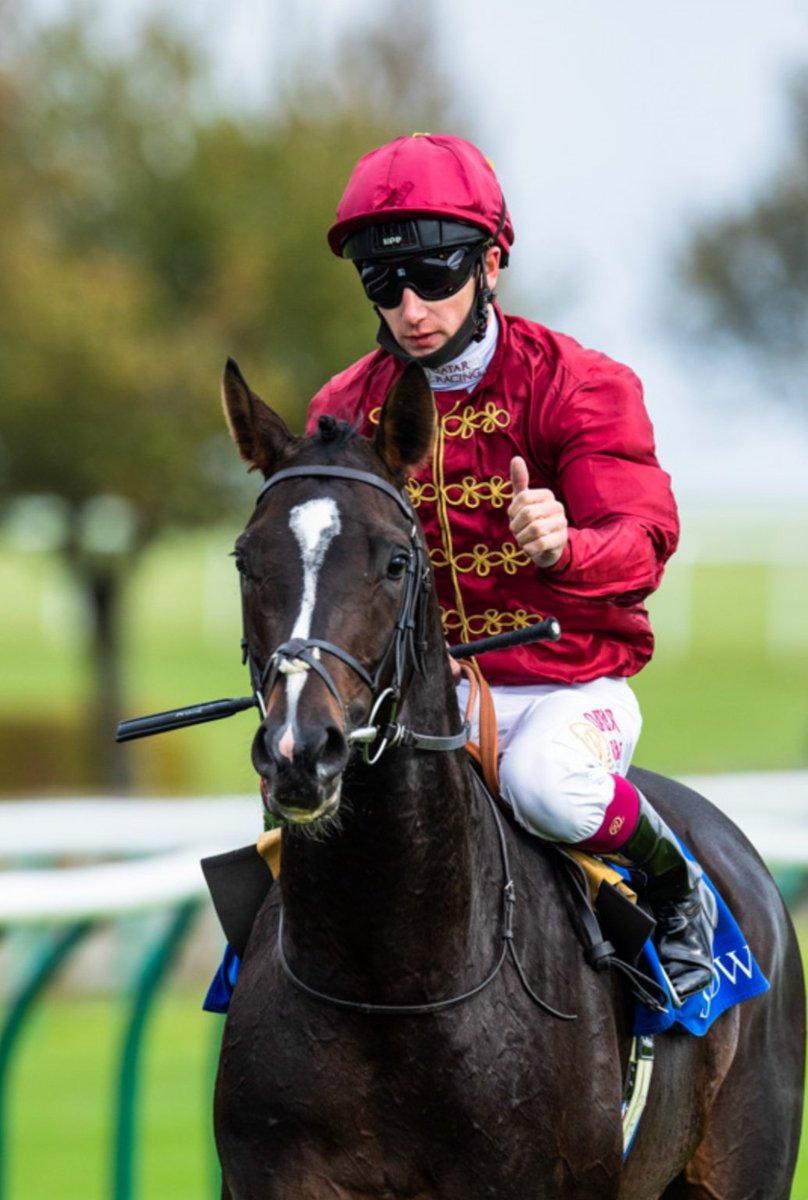 Stephen R Power (@racingblogger) on Twitter photo ๐ท IF KIKKULI & THE BIG BOARD Both WIN for Champion Jockey OISIN MURPHY At Newbury Today: ๐คฉ
I'll give ๐จ ยฃ1000 Cash to One of YOU Lucky People Tonight!! ๐ท
To Enter: ๐
1๏ธโฃ RT This Tweet
2๏ธโฃ Like This Tweet
3๏ธโฃ Follow <a href="/racingblogger/">Stephen R Power</a>
GOOD LUCK EVERYONE! ๐ธ
#ArsWol #Win #Horse ๐ท IF KIKKULI & THE BIG BOARD Both WIN for Champion Jockey OISIN MURPHY At Newbury Today: ๐คฉ
I'll give ๐จ ยฃ1000 Cash to One of YOU Lucky People Tonight!! ๐ท
To Enter: ๐
1๏ธโฃ RT This Tweet
2๏ธโฃ Like This Tweet
3๏ธโฃ Follow <a href="/racingblogger/">Stephen R Power</a>
GOOD LUCK EVERYONE! ๐ธ
#ArsWol #Win #Horse