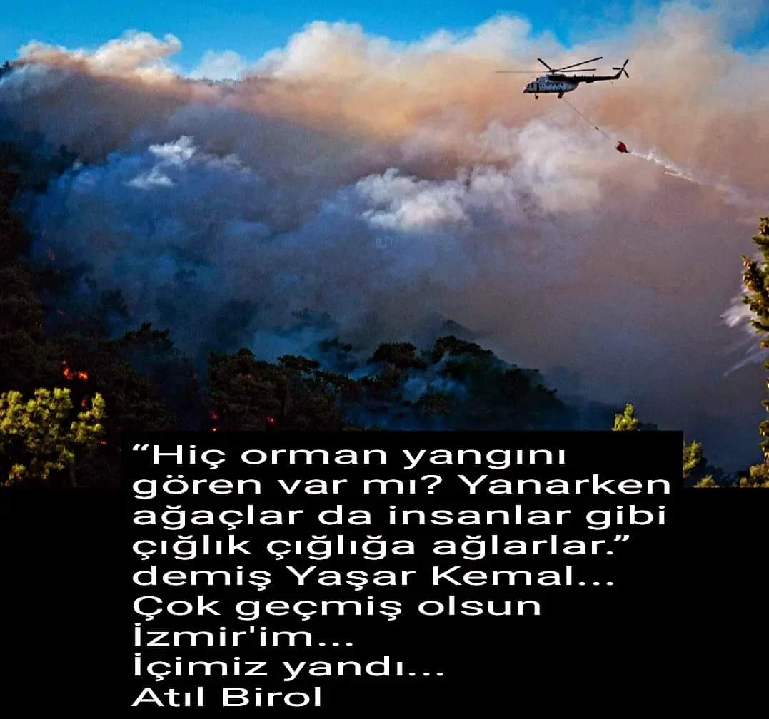 DRATILBIROL's tweet photo. #izmirdeyangın #izmir #izmirkarşıyaka #izmirbayraklı https://t.co/perBac9V9X