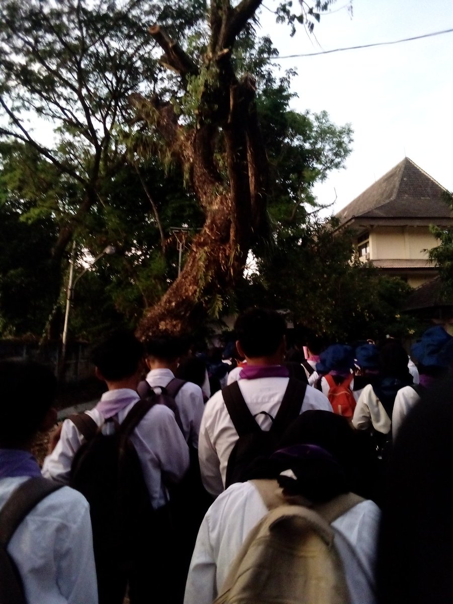 jzaemiinv__'s tweet photo. Hallo Mahesa! Saya Novidya Choirina Priyandini, Jurusan Sastra Indonesia.

Di hari ke-2 PKKMB, salah satu momen yang aku suka adalah waktu arak-arakan fakultas ke lapangan tempat PKKMB. 

#JejakBarudiUNNES
#HariPertamadiUNNES
#PKKMBUNNES2024 https://t.co/Yb5jY8B1eQ