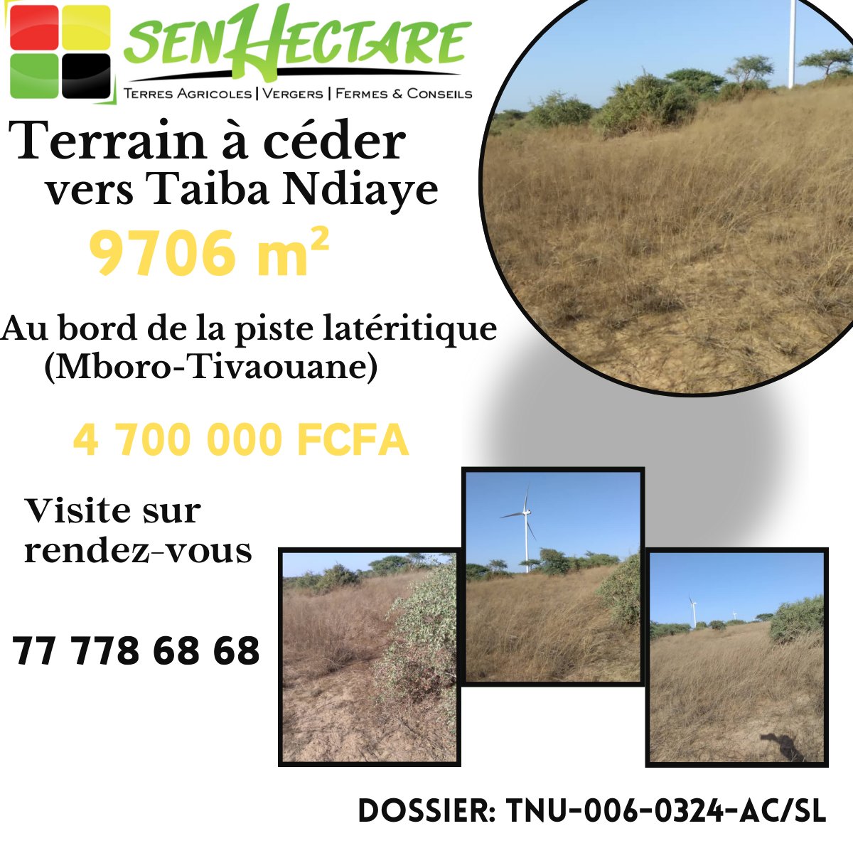 senhectare's tweet photo. Vous êtes Intéressés par des #terrains #fertiles, voici des opportunités👇

Vers Taïba Ndiaye: https://t.co/GgPOTFK3yH
Vers Thiénaba : https://t.co/7oCoLNvOqB

#cession #immobilier #entrepreneur #ceo #agriculture #investissement #investisseur #agrobusiness #agribusiness #business #terrain #terrainagricole