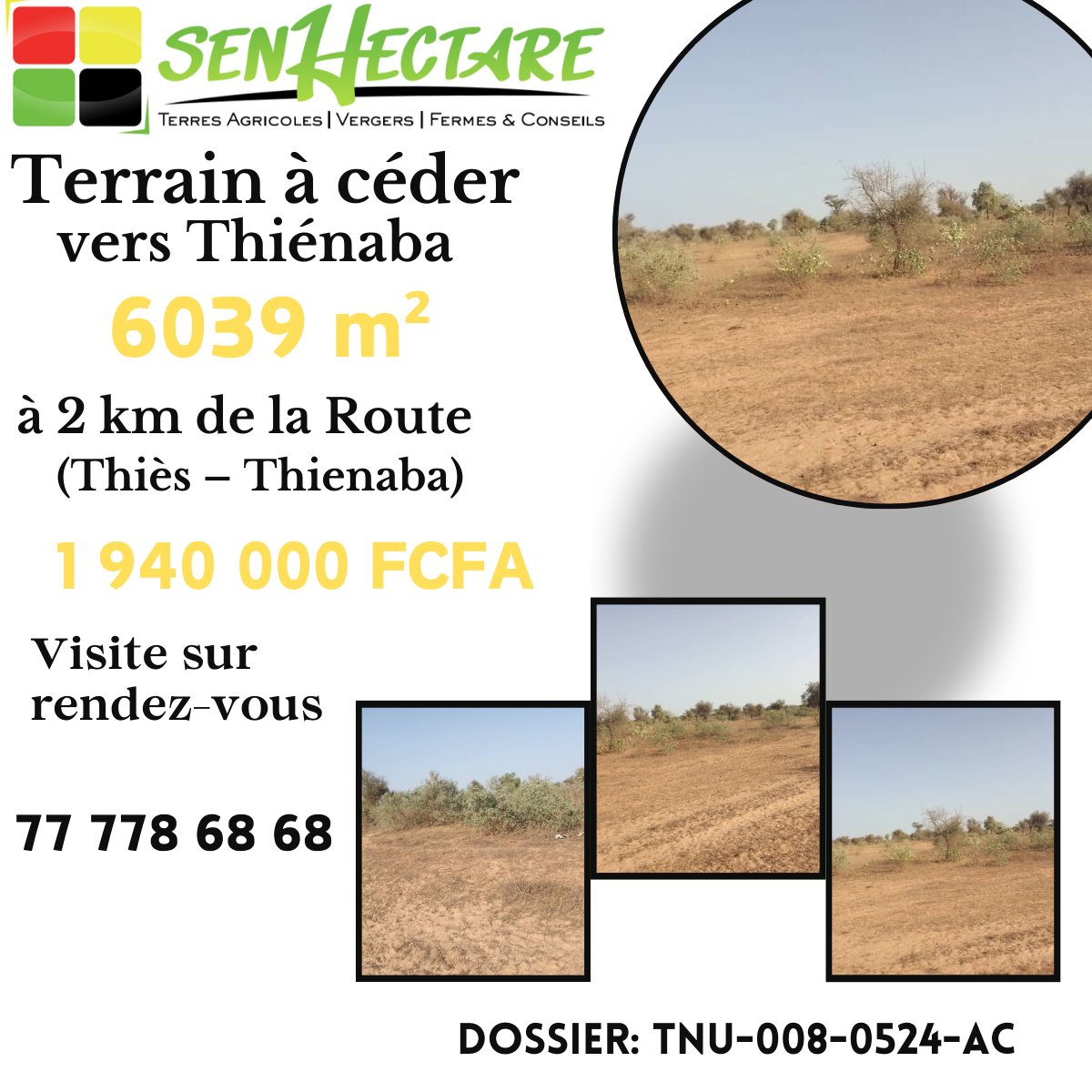 senhectare's tweet photo. Vous êtes Intéressés par des #terrains #fertiles, voici des opportunités👇
 Vers Taïba Ndiaye: https://t.co/YErYkZJ34r Thiénaba : https://t.co/7oCoLNvOqB 

#cession #immobilier #entrepreneur #ceo #agriculture #investissement #investisseur #agrobusiness #agribusiness #business #terrain #terrainagricole