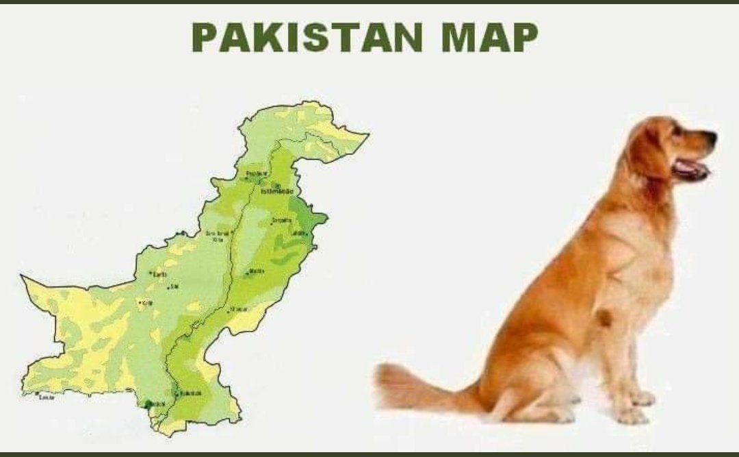 Kashmir_Fact's tweet photo. Watch Pakistan's two achievements:
Pakistan's map looks like a 'dog'
Pakistan's flag is the 'world's best toilet paper'
#Pakistan #PakistanMap @iihtishamm @_AdilHussain @Arzookazmi30 @zeedee93 @Dukhtar_B @abhish_31 @IndianDiplomacy @TimesAlgebraIND @sundasskhan @Sumita327 https://t.co/dTGw01Ogtp