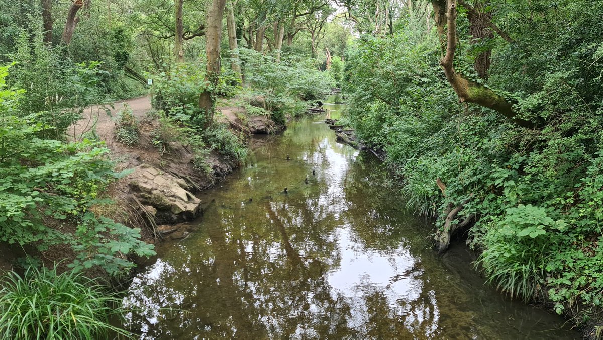 Thames Water have advised that tests show the Beverley Brook is now clear of sewage and oxygen levels have increased.  The Environment Agency have also taken samples, and they have not advised us of any issues.  Fortunately there has been no significant impact on the Brook.