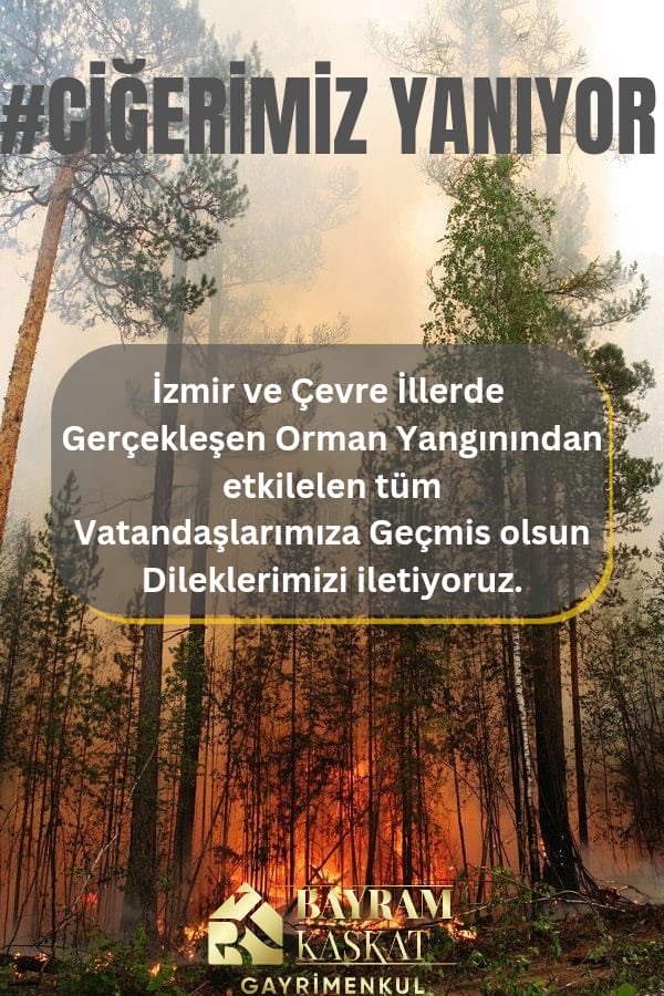 Tuna Doğruluk (@tunadogruluk) on Twitter photo 