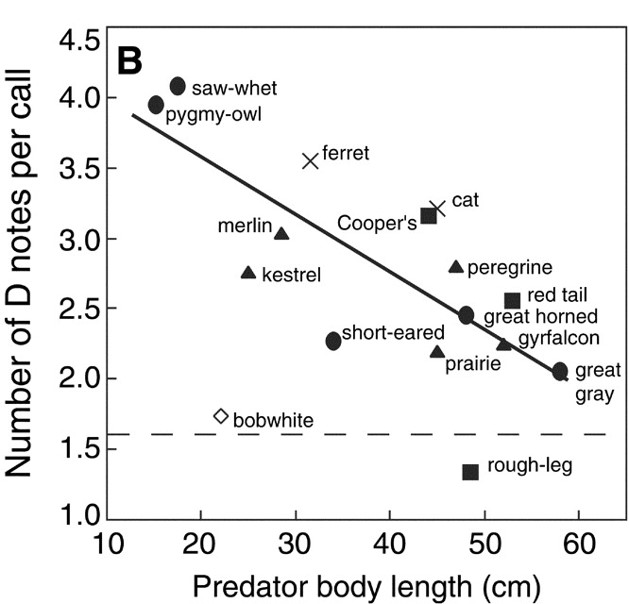 Jente Ottenburghs | Avian Hybrids 🦆🧬 tweet media