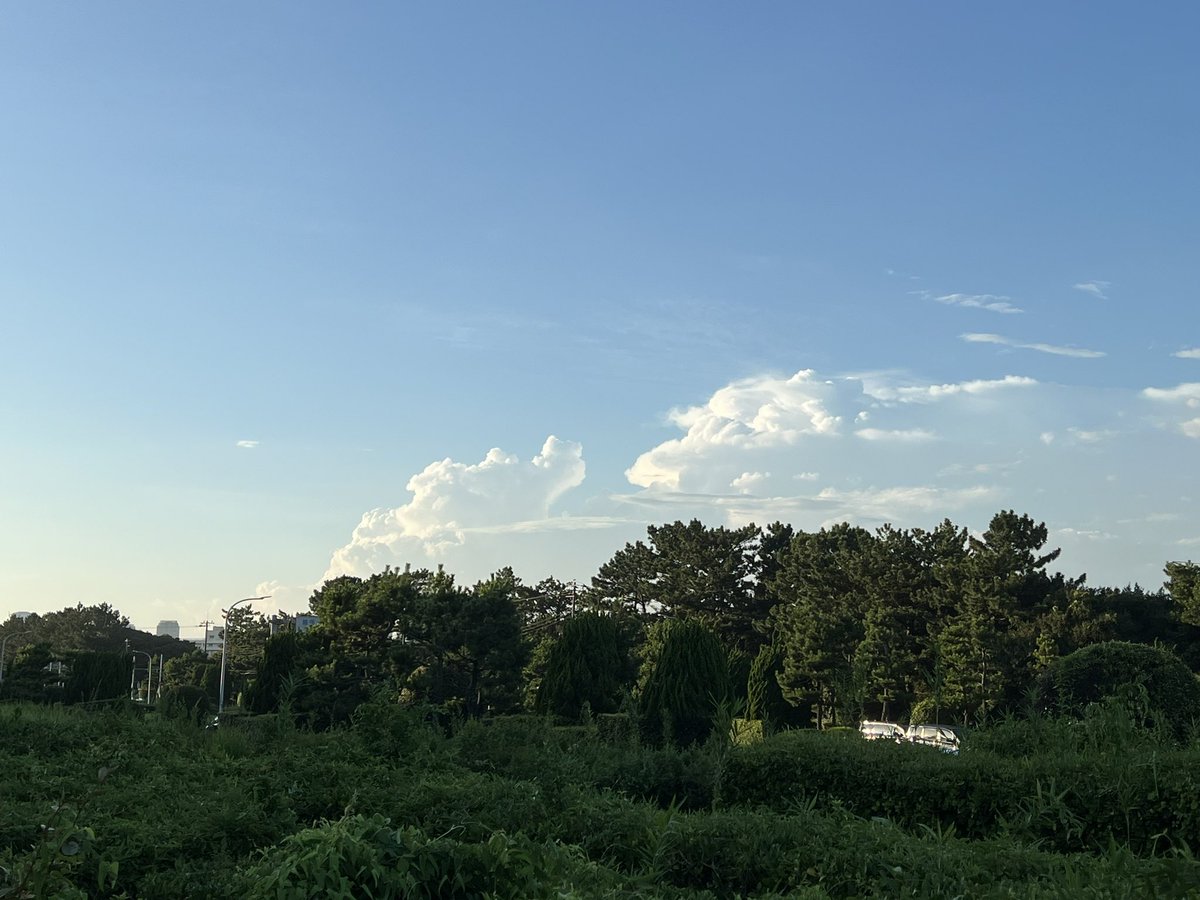 nonkhsora's tweet photo. 2枚目��雲？ https://t.co/Cc9u60Ry0B