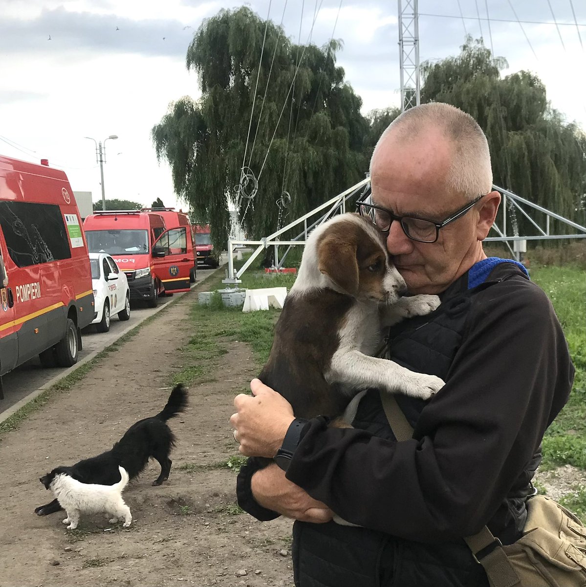 Today is International Homeless Animals Day - so much of our work has been about making sure all free roaming and stray animals are protected - here on the Romanian - Ukrainian border ❤️💛💙 #internationalhomelessanimalsday