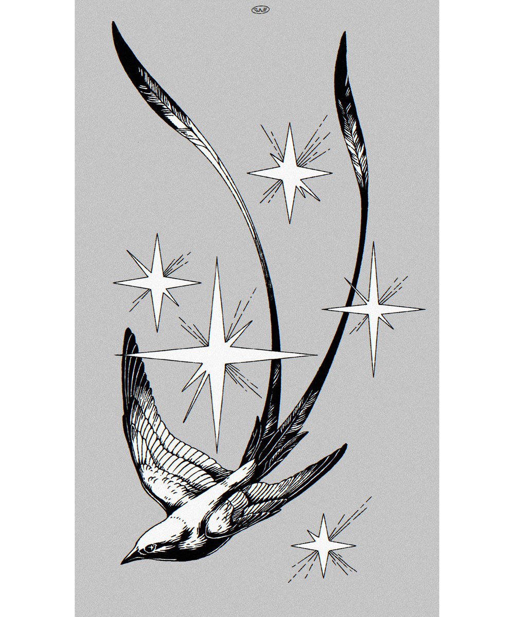 clarascintilla's tweet photo. Starbird 💫 https://t.co/LwFED5Gdjr
