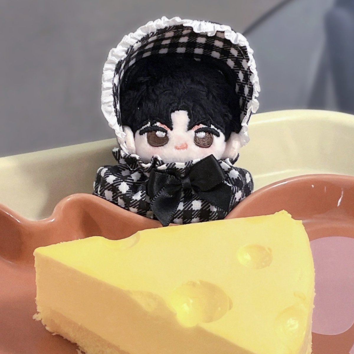 예절샷 찍기 딱 좋은 곰도리 ₍ᐢ•ﻌ•ᐢ₎ෆ