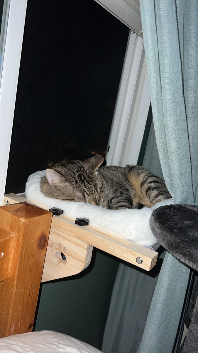 kim 🐝🕸️ tweet media