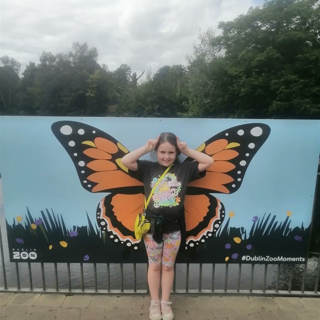 Pearleejam's tweet photo. #DublinZooMoments https://t.co/H4n12f1rdX
