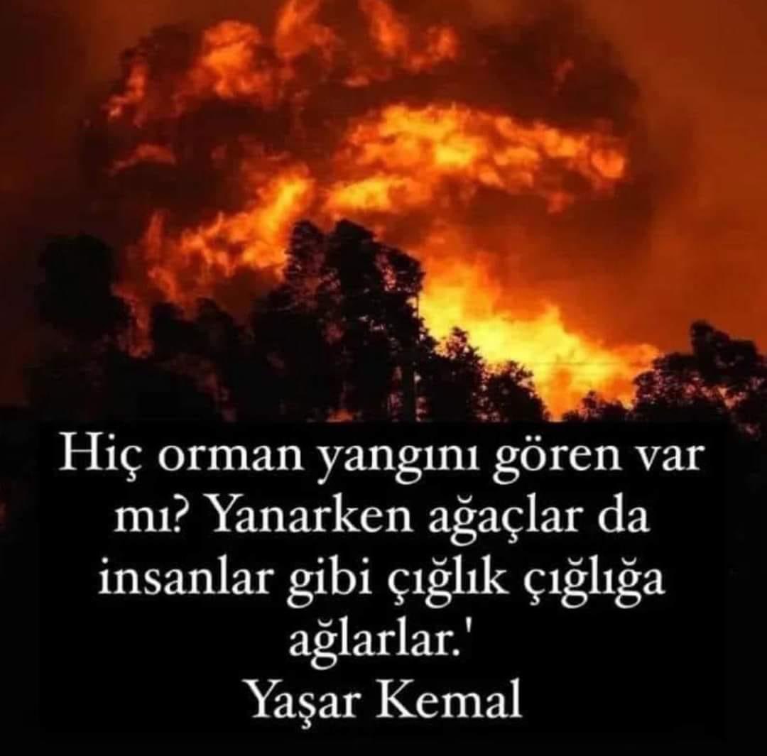 m_ak2006's tweet photo. “Ağlasam sesimi duyar mısınız,  Mısralarımda;  Dokunabilir misiniz,  Gözyaşlarıma, ellerinizle? “
Orhan Veli https://t.co/cJmMQuzMdW