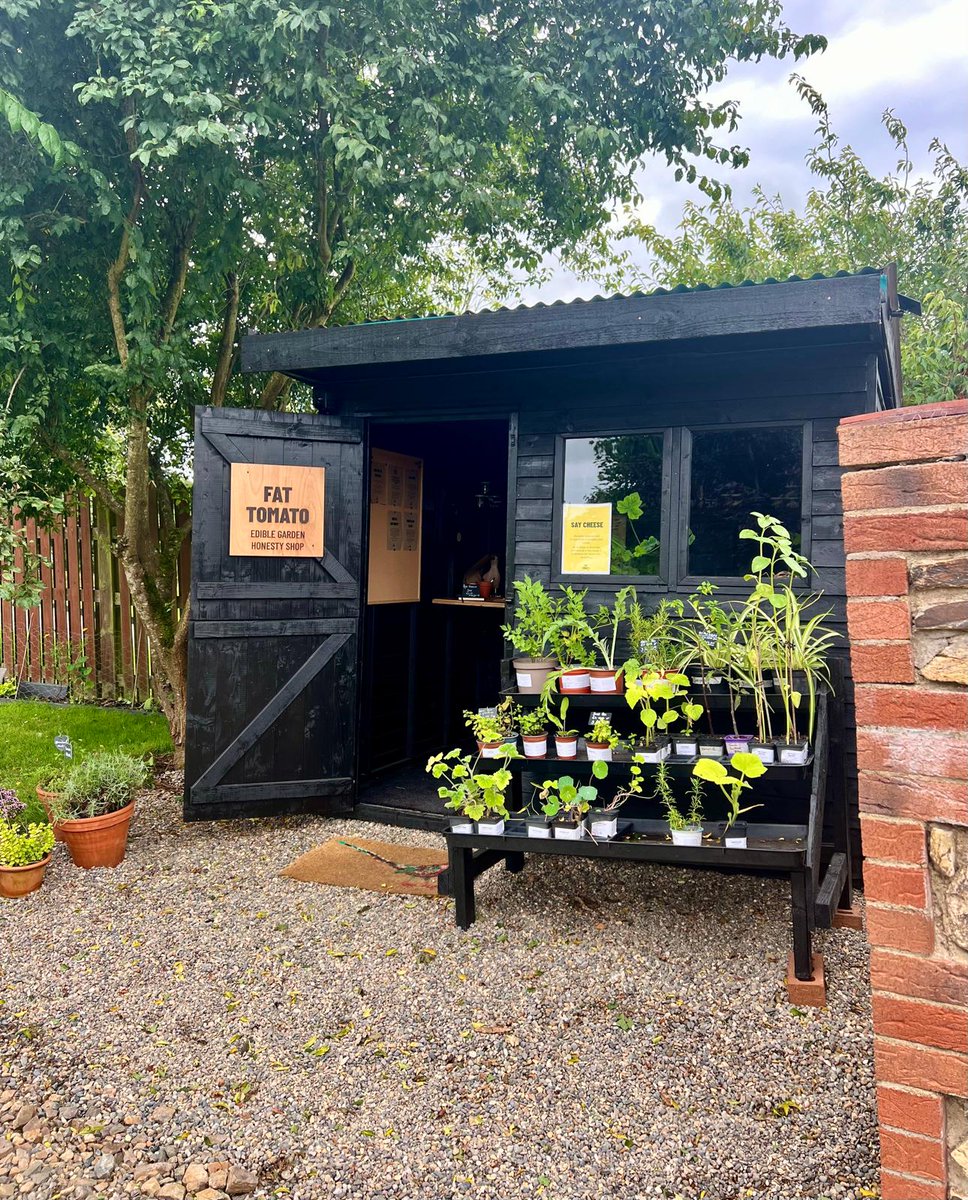 Taste Wexford (@tastewexford_) on Twitter photo 🌟 Lets give <a href="/_fattomato/">Fat Tomato</a> a warm Wexford welcome 🌟
A new honesty shop has opened in the past couple of weeks stocked with a range of products, from limited-edition jars and bottles to colourful herbs, vegetables, rainbow eggs, edible plants, and more 🌟 Lets give <a href="/_fattomato/">Fat Tomato</a> a warm Wexford welcome 🌟
A new honesty shop has opened in the past couple of weeks stocked with a range of products, from limited-edition jars and bottles to colourful herbs, vegetables, rainbow eggs, edible plants, and more