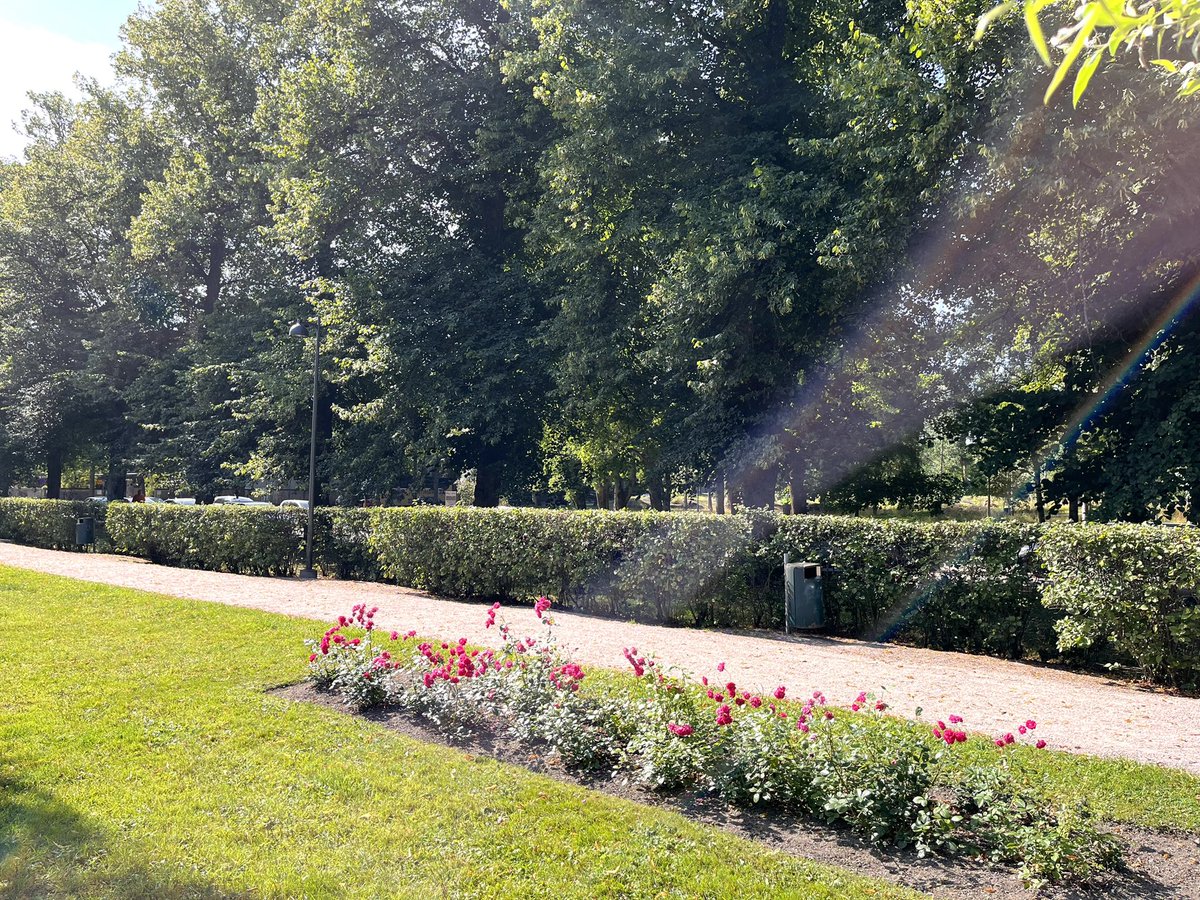 Ihmetyttää mihin Topeliuksen puistosta ovat penkit hävinneet. Puiston aidassa on paikat yli 15 penkille mutta ei penkkejä jotka toisivat viihtyisyyttä ja oleskelutilaa kaupunkilaisille. Mallia voisi ottaa vaikka Tallinnasta ja Vilnasta.   <a href="/helsinki/">Helsingin kaupunki</a> <a href="/filsdeproust/">juhana vartiainen</a>