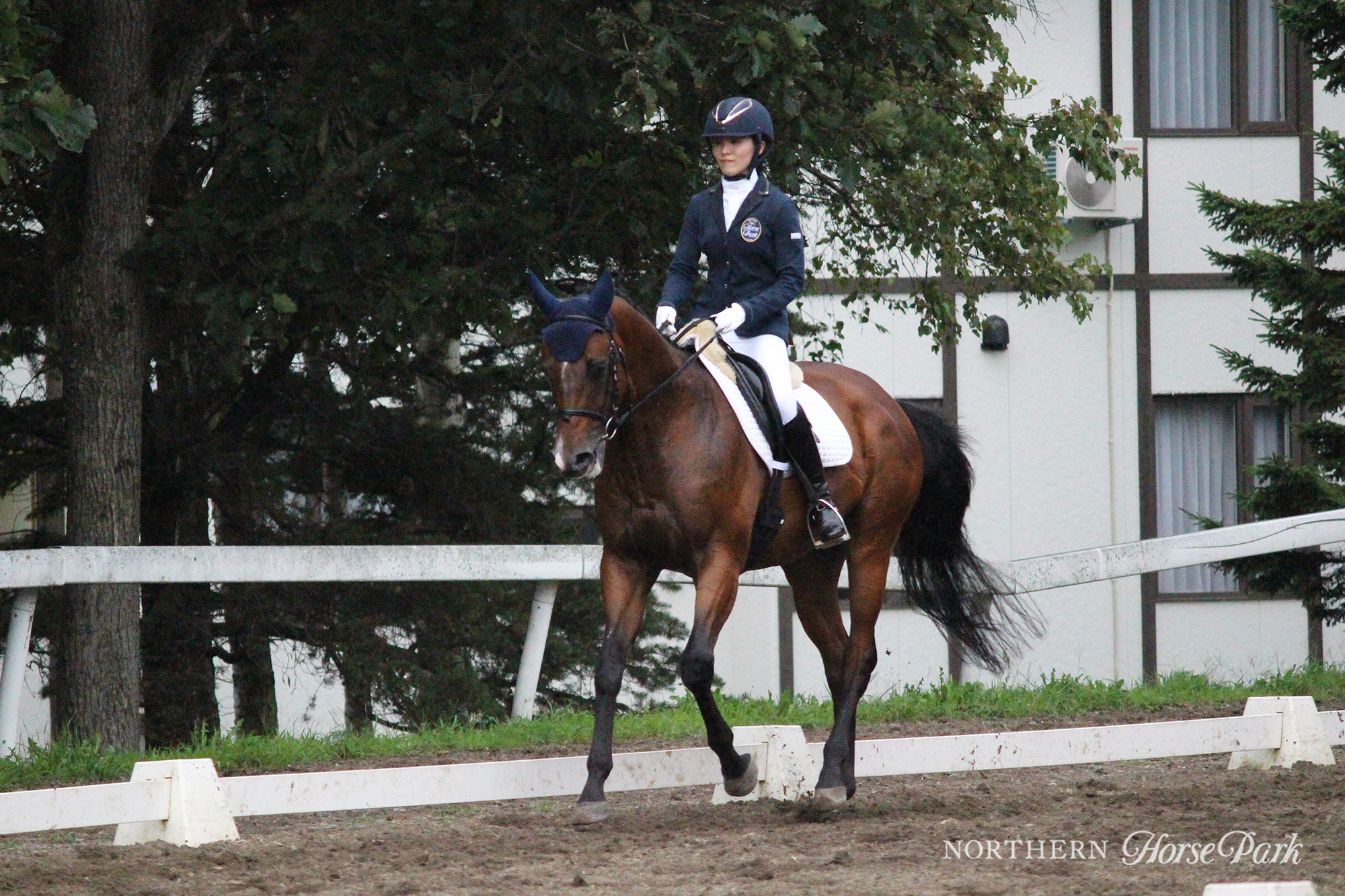 レイデオロタテガミノーザンホースパーク競馬