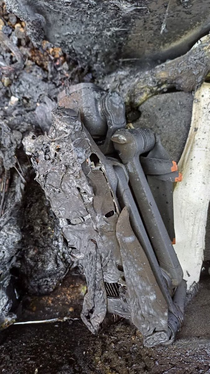 NAFO_trinzu🇪🇪❤️🇺🇦🔱🦉 tweet media