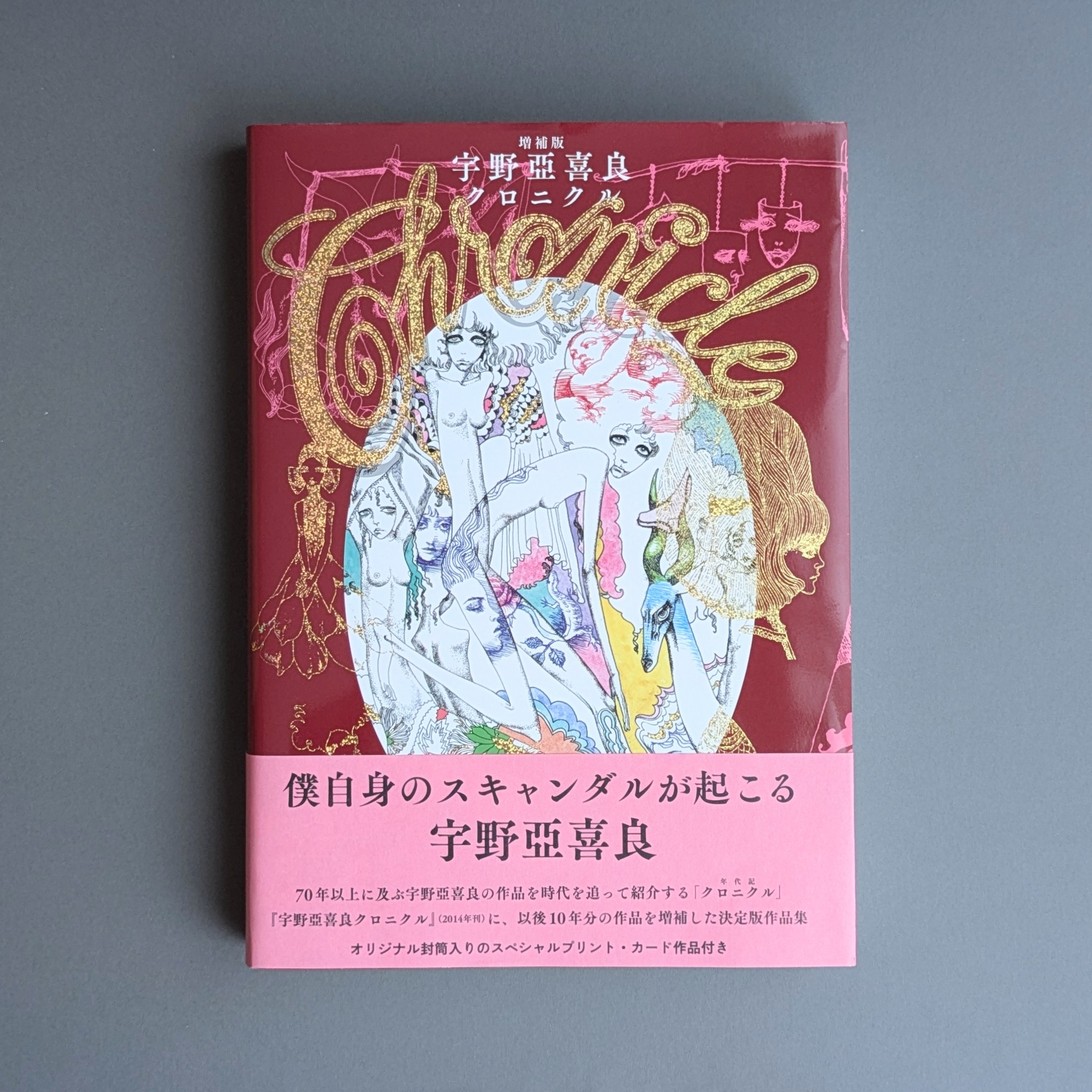 宇野亜喜良 クロニクル 宇野亜喜良 クロニクル 宇野亞喜良クロニクル