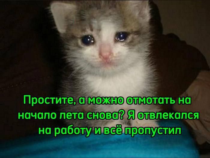 🐸жабья принцесса👑 (@kxiq7u7oc8nsgnc) on Twitter photo 