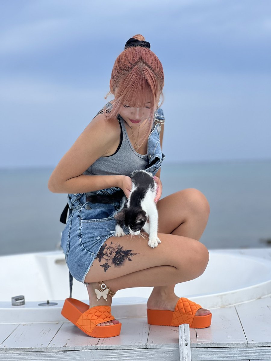 nono__x_x's tweet photo. 沖縄来てますｰ!!!🌴🌺❤︎
明日はよろしくお願いします🔥
@onmeet2023 
 #ONMEET https://t.co/iAnqOHvY1V