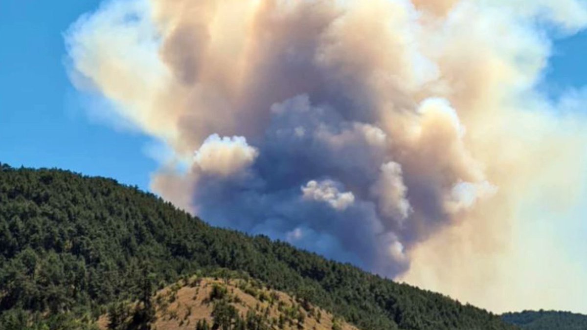 Kürem-Der Genel Başkanı Faruk Çebi: 'Orman yangınlarıyla mücadele sistemi sil baştan değiştirilmeli' gazetedamga.com.tr/gundem/kurem-d…