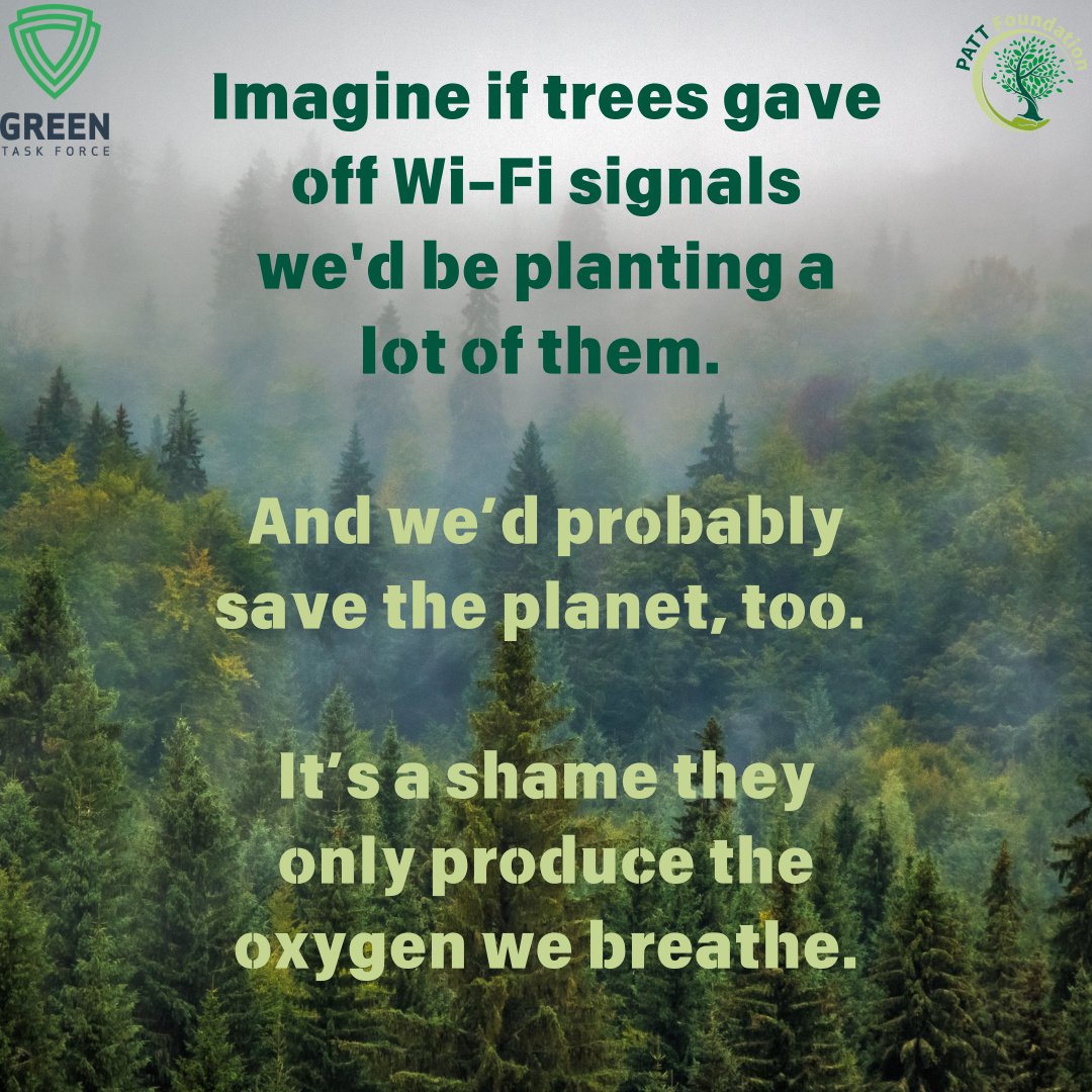 Trees don't just provide oxygen they

🌳 Capture carbon
🌳 Provide shade 
🌳 Prevent erosion 
🌳 Create habitats for wildlife 
🌳 Enrich the soil 
🌳 Regulate temperature 
🌳 Look  beautiful 
🌳 Plus more.

 That’s why we’re planting as many as we can (over 3,000,000 so far!)