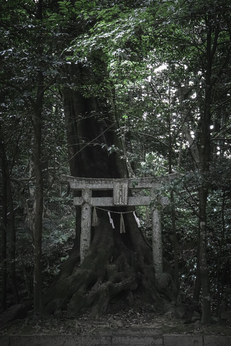 こんな鳥居があったらいいなぁ──が、
現実にあった。