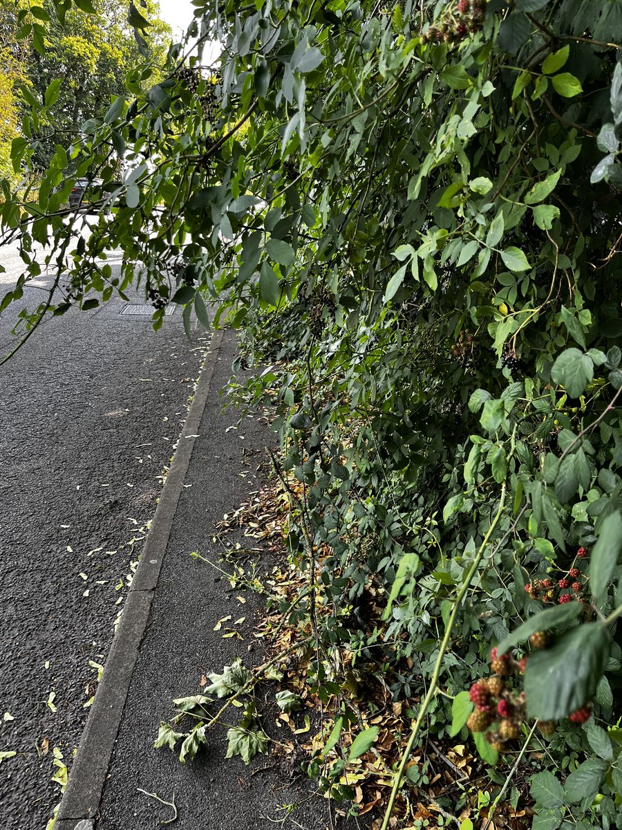 Tony Girling tweet media