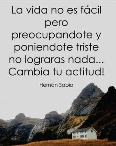 VidaEquilibrada tweet media