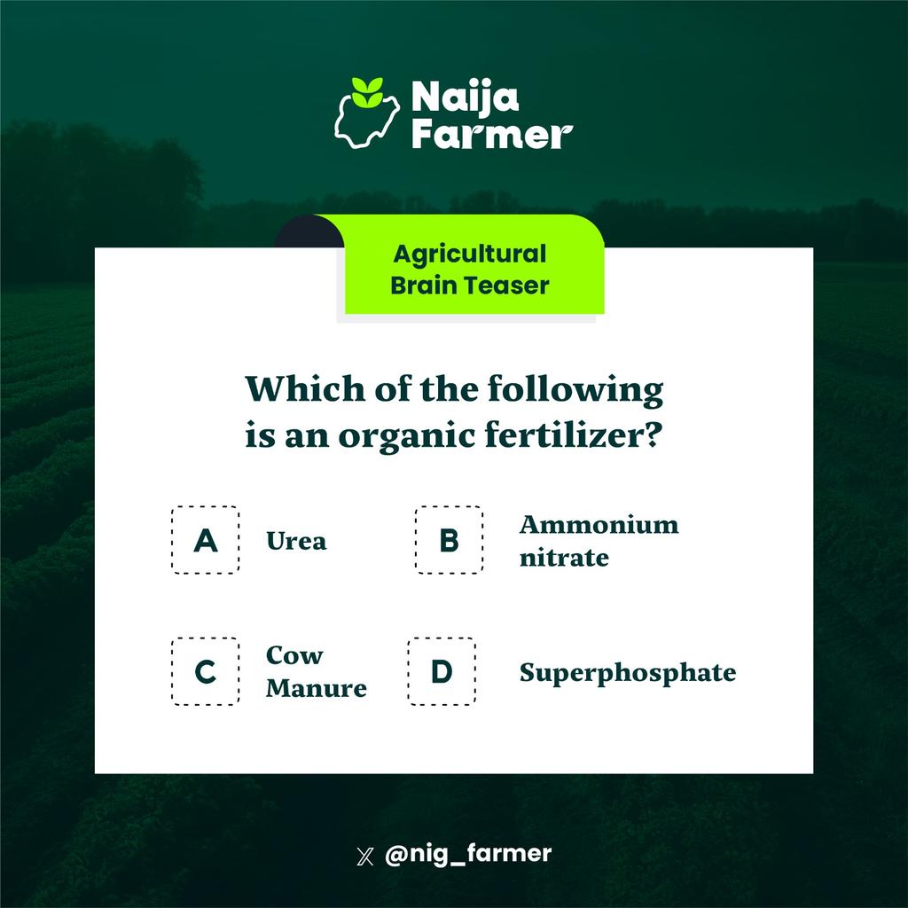 NaijaFarmer tweet media