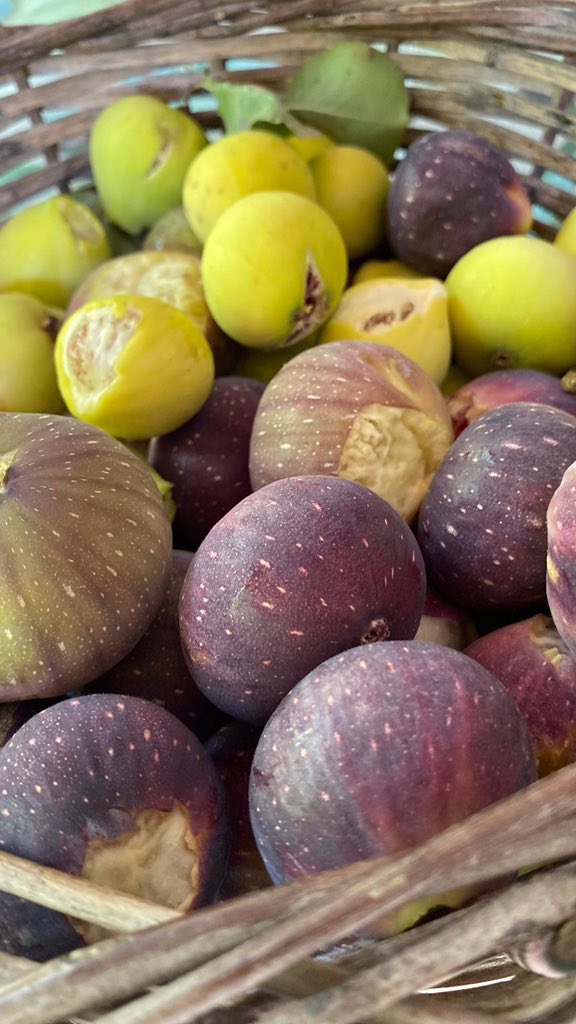 IoannaLazana's tweet image. #overdose #figs #figues #summer #august #août #Αύγουστος #les_vacances