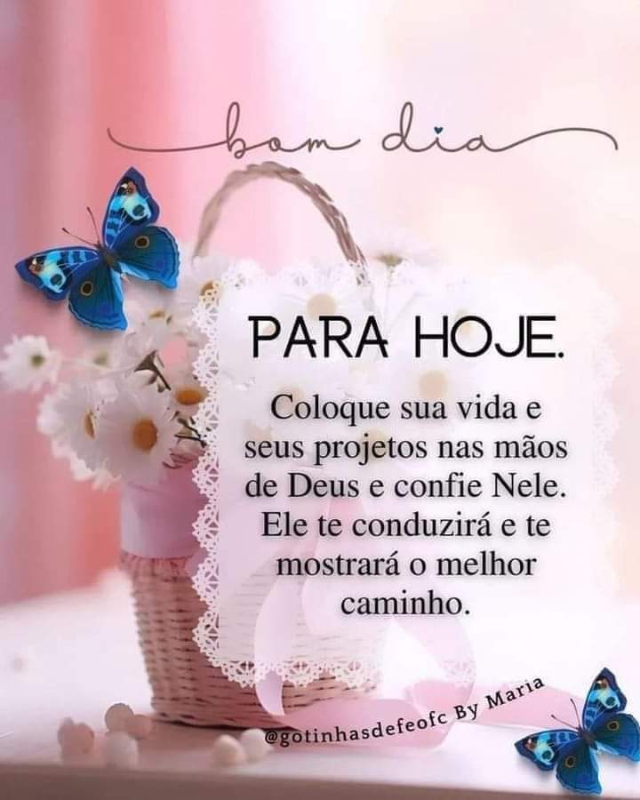 Mario2correa's tweet photo. Bom dia amigas e amigos. "Afinal, se coisas boas se vão é para que coisas melhores possam vir. Esqueça o passado, desapego é o segredo!" (Gloria Hurtado) Tenhamos um excelente sábado. https://t.co/QzqtaA65hZ
