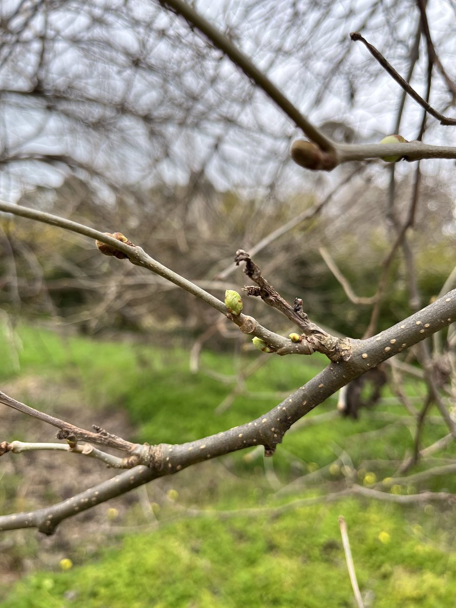 Dr Bob and Kevin🍇🍷🔬📷🦜🐶 tweet media